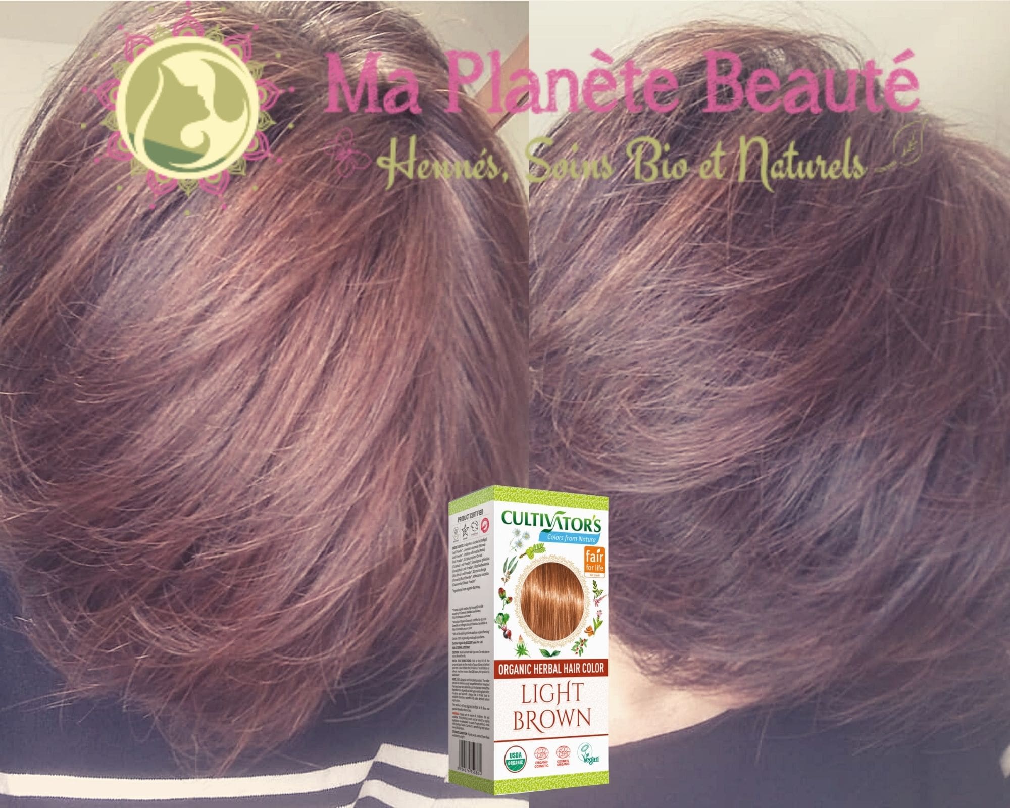 Coloration Light Brown - Cultivator's India - MA PLANETE BEAUTE